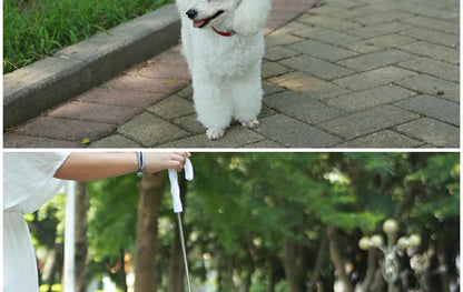 Rainy Day Pet Umbrella Leash