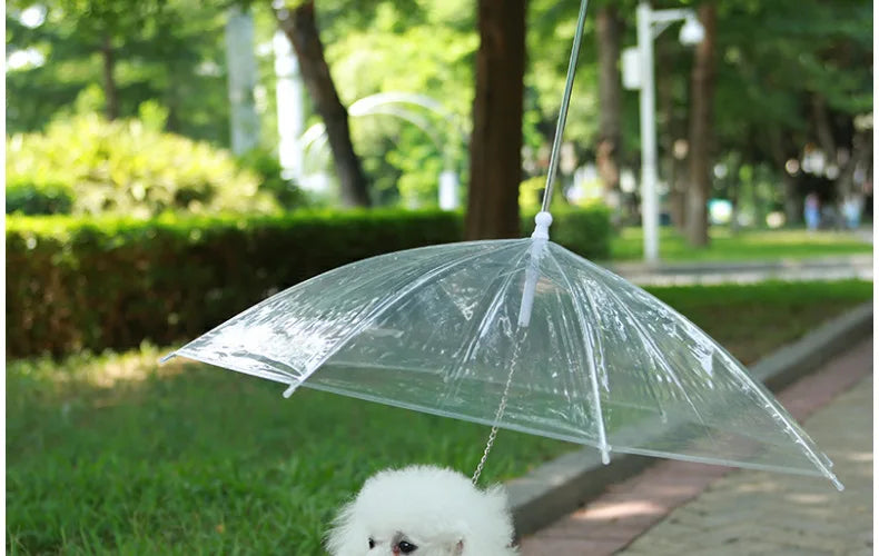 Rainy Day Pet Umbrella Leash