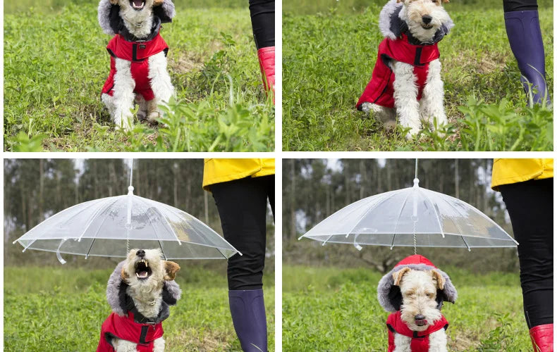 Rainy Day Pet Umbrella Leash