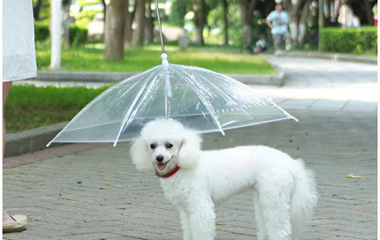 Rainy Day Pet Umbrella Leash