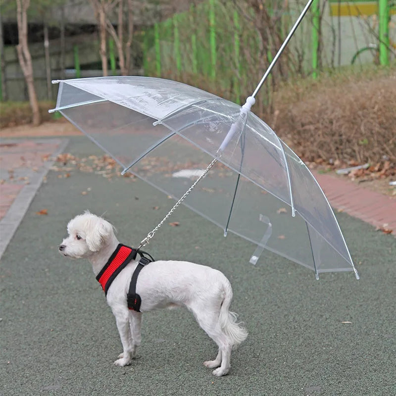 Rainy Day Pet Umbrella Leash