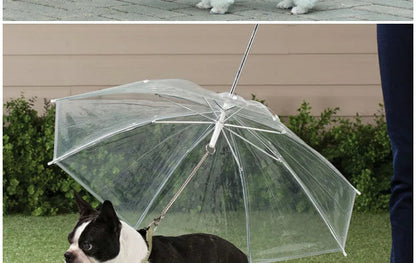 Rainy Day Pet Umbrella Leash