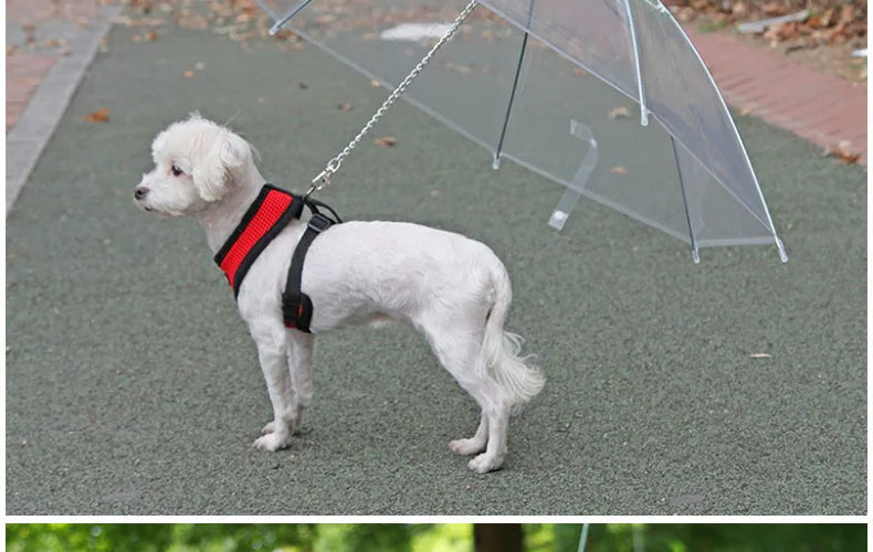 Rainy Day Pet Umbrella Leash